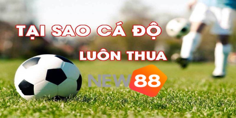 Tại sao cá độ bóng đá luôn thua vì điều gì