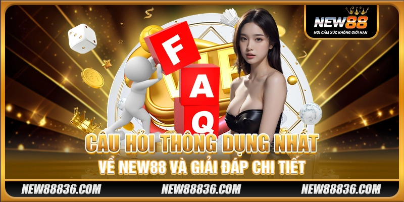 Câu hỏi thông dụng nhất về New88 và giải đáp chi tiết